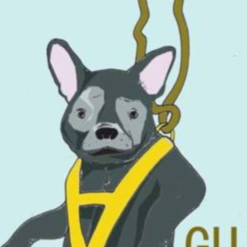Guide Dogs On Bungee Cords