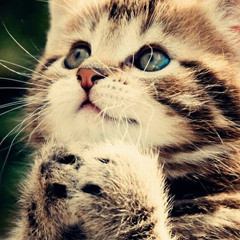 User 140668621