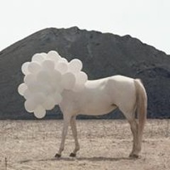 Anne von Breitenstein