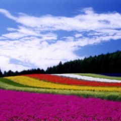 Ярослав Волошин