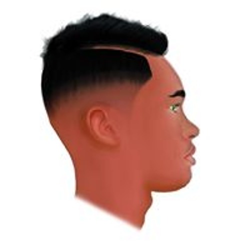 Pro Domo Sua - Histoire