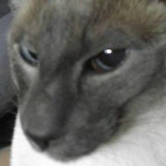 Kyle Douglas Kitchen