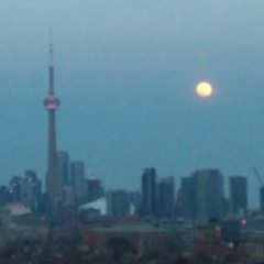 Ontario Photo Gallewry 1313 And Song . (fhif8726)