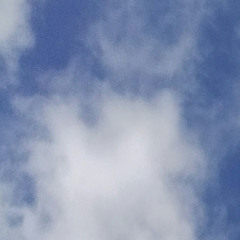 écarteur de daronne (momo pour les paysans)