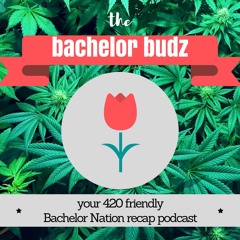 Stream Bachelor Budz Listen to podcast episodes online for free on SoundCloud