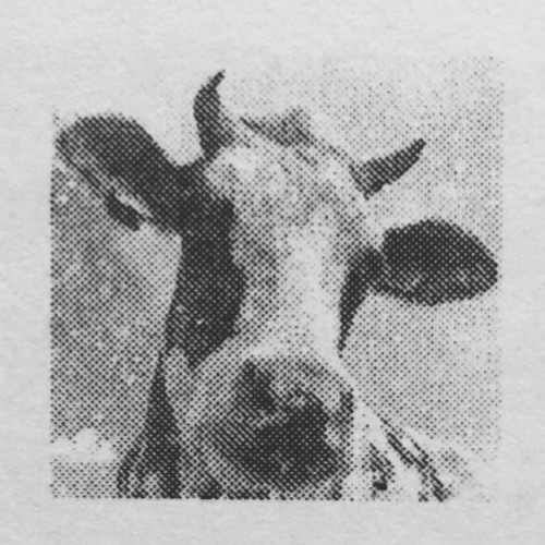 Prophet12 2 Jun - 5 patches