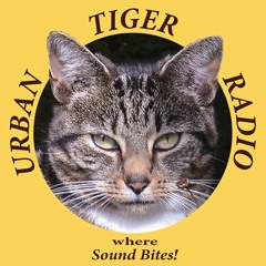 Urban Tiger Radio