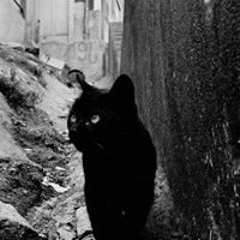 Vaire_