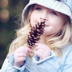 وردة الأحلام