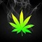 Guyana Weed