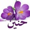 Hossam Bob