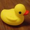 DuckyCrayfish