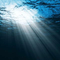 SturgeonTheFish