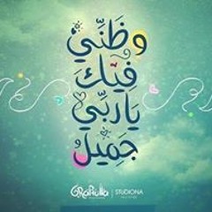 وظني فيك ياسندي جميل