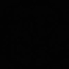 محمد الريان