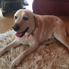 Jason William Paskins