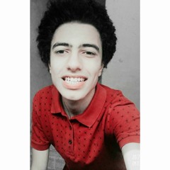 Mrwan S Mohamed