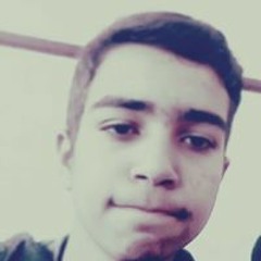 عبدالرحمن محمد الشيخ