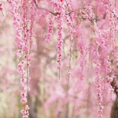 ZhuShiYun223