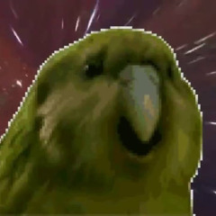 Mister Jooj