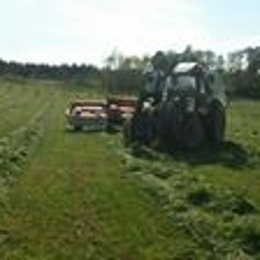 Alexander Furenbäck