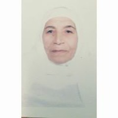 Mohamed Negm
