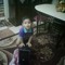 sameh ellol
