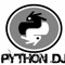 Python DJ