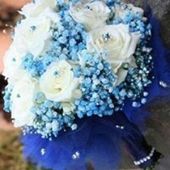 Mostafa Ahmed