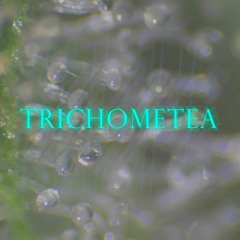 trichometea