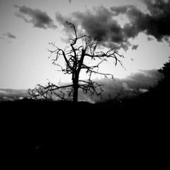 Dark Trascendent Trance