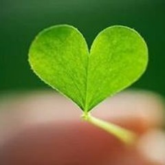 بلال الاحمد