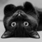 TokyoCat