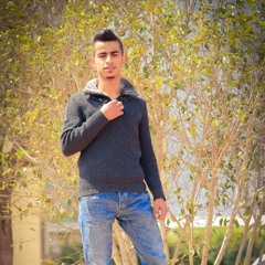 Basil_Zayed
