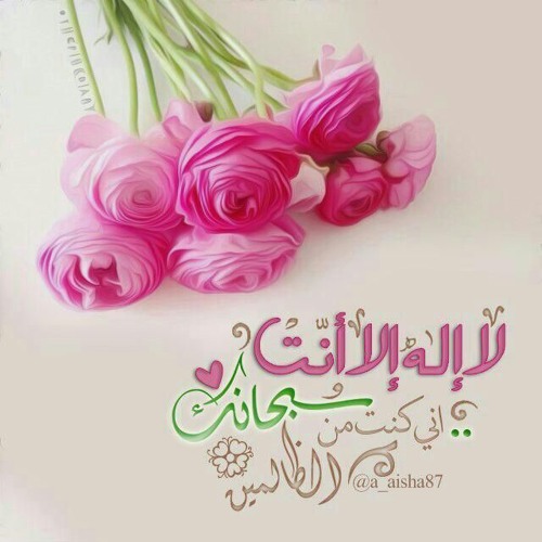 أحلى حياة  بتحلم بإيه ؟؟؟  الشيخ حازم شومان