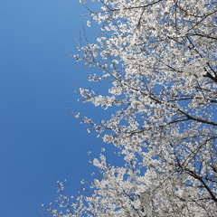 정서정
