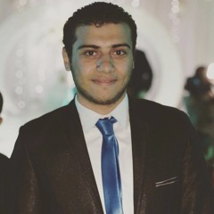 Ahmed Elgammal