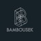 Bambousek Records