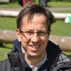 Luis Fernando R. Laurini