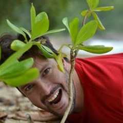 Vinicius Pereira Alves