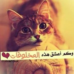 رميسة القواسمي