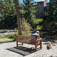 Steve Scott Birmingham