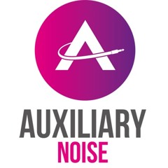 Auxiliary Noise