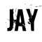 JAY'S JUST SAYON