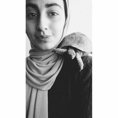 Dania Alqaissi