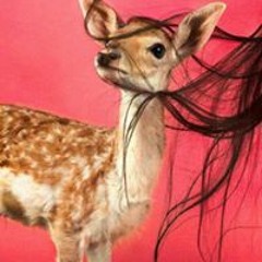 reem Ezzeldin