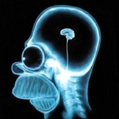 Angelo Aranda Bustamante