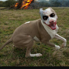 The Almighty Anonymous 27