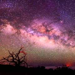 Border Looking Protocol