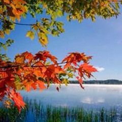 ابوعبدالله عبدالجواد القطعاني